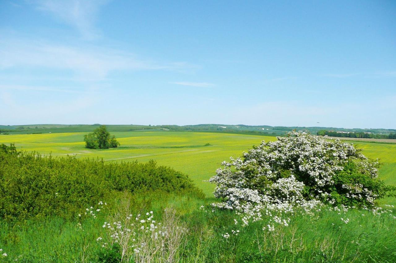 Ferienwohnung Mit Balkon Und Meerblick - Ferienresidenz Zwei Bodden Fewo 1-4 Lietzow Екстериор снимка